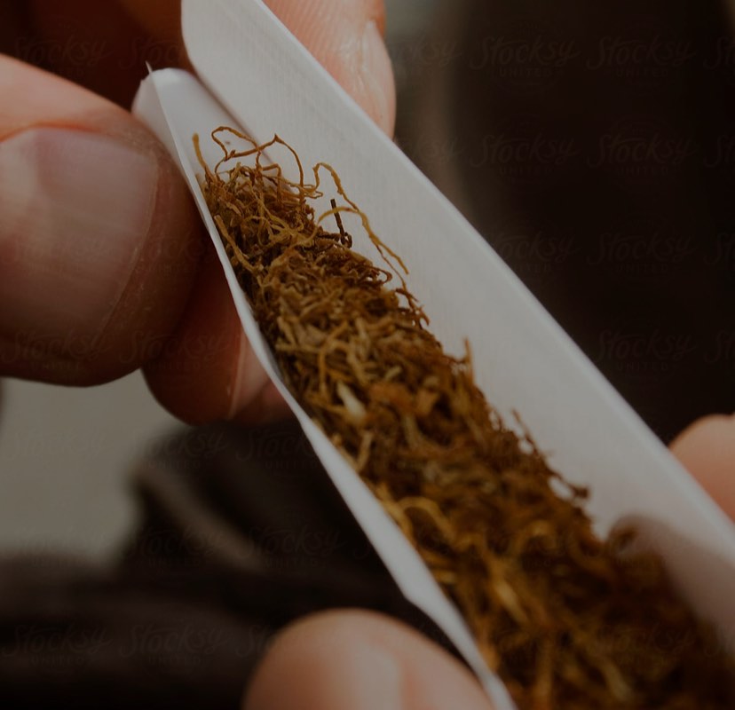 Lorem ipsum ultricies efficitur interdum ex